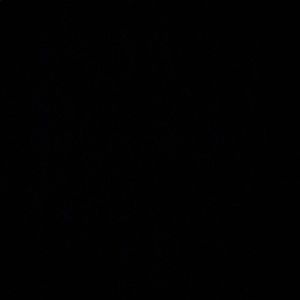 Meet your Posher, Serena